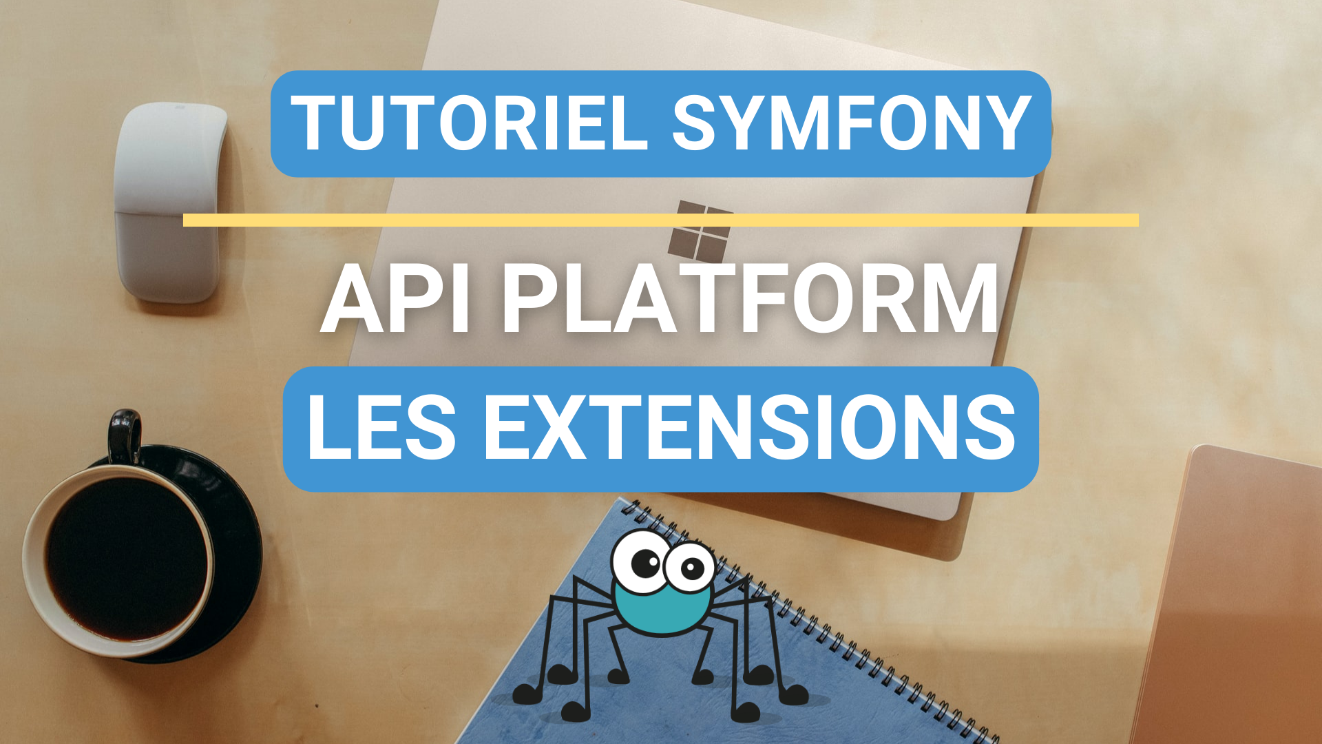 Les extensions avec Symfony 6 et Api Platform 3